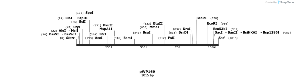 385023_map