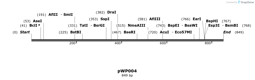 385024_map