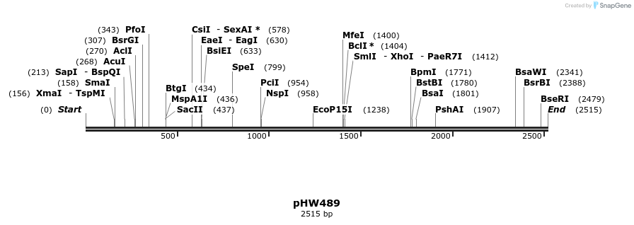 385025_map