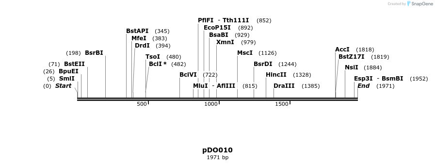 385026_map