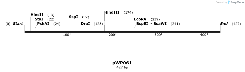 385029_map