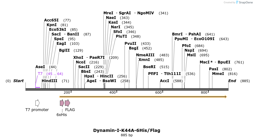 38503_map