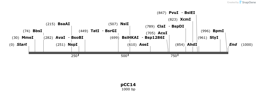 385035_map