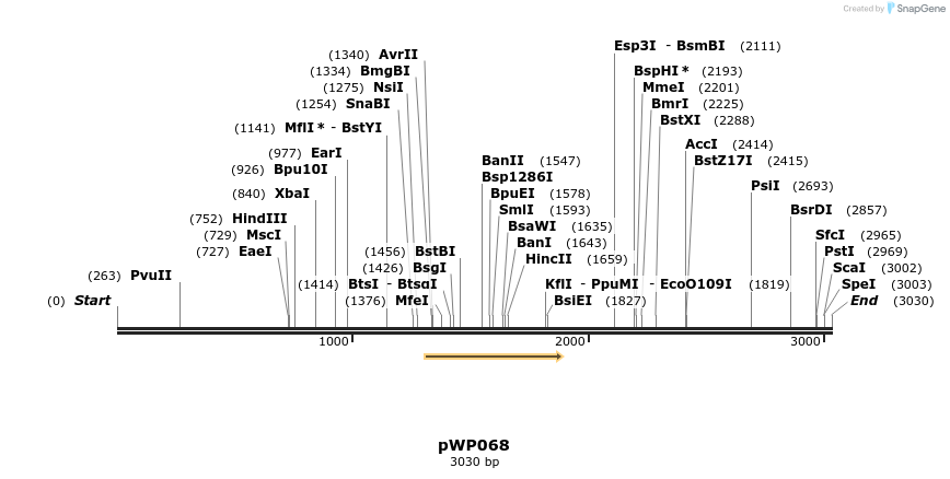 385036_map