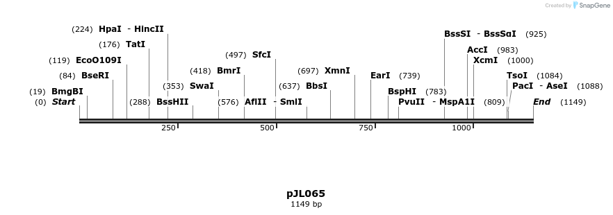 385038_map