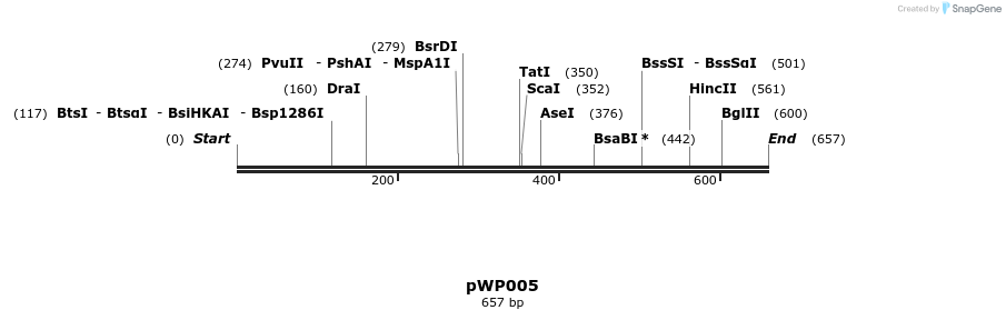 385039_map