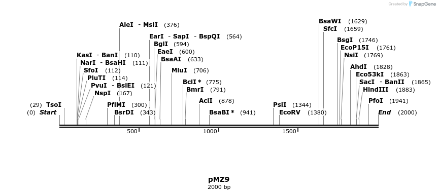 385040_map