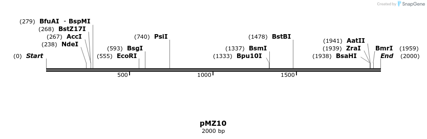 385041_map