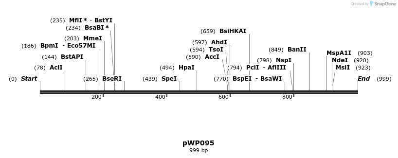 385043_map