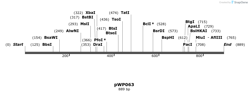 385053_map