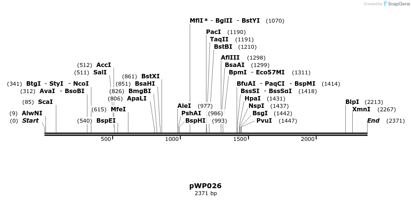 385054_map