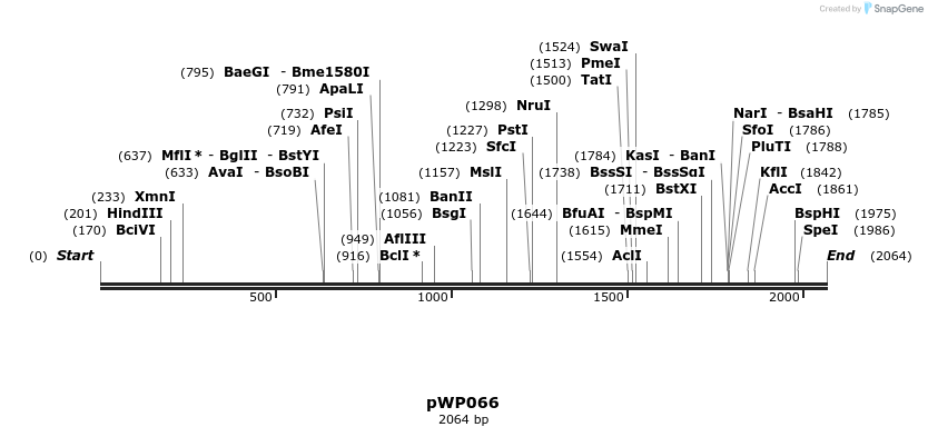 385056_map