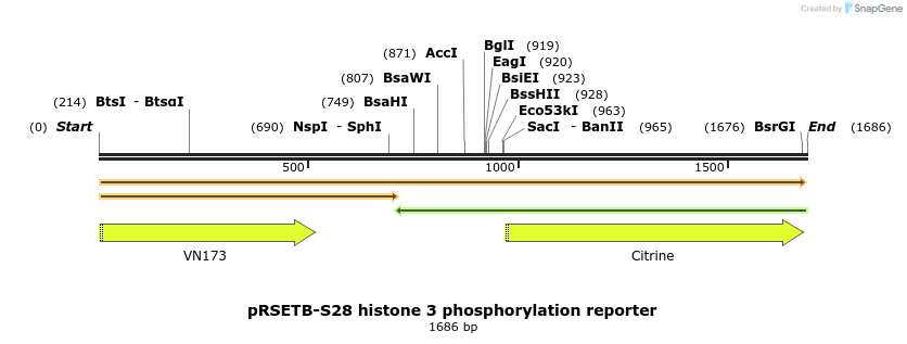 38507_map