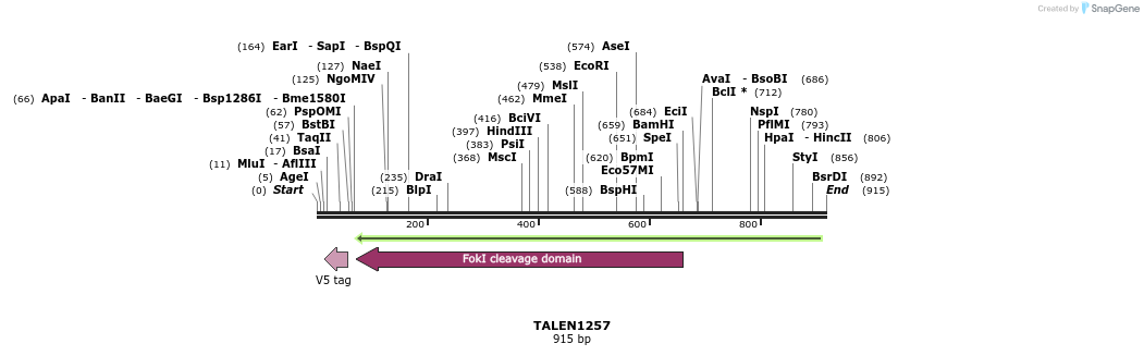 38510_map