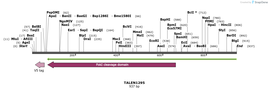 38513_map
