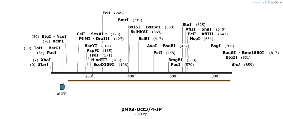 38530_map