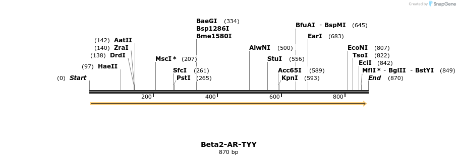 38532_map