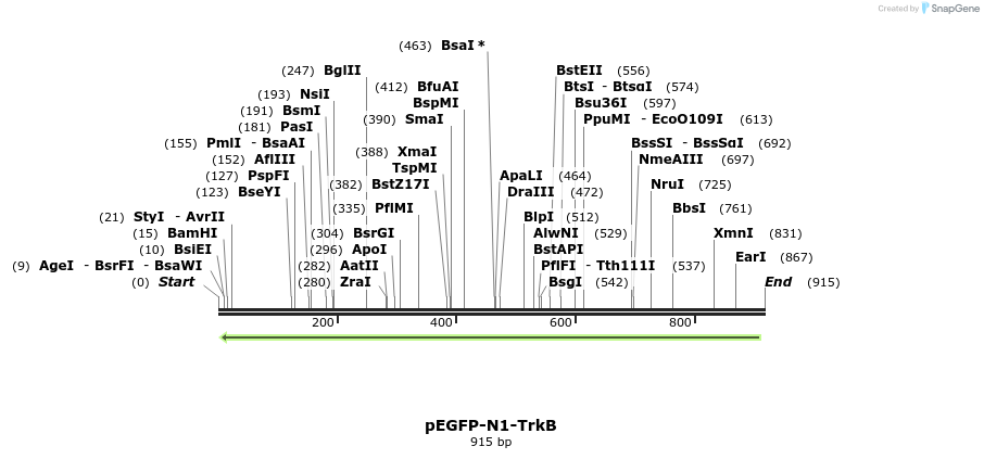 38533_map