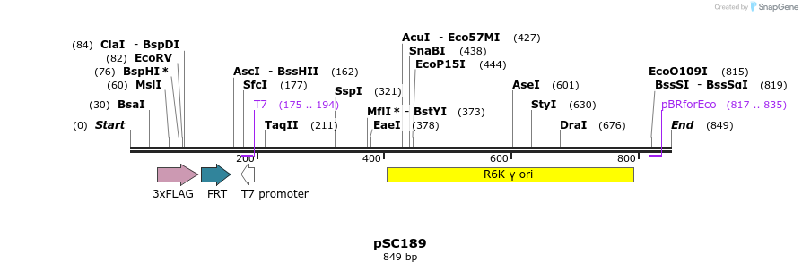 38535_map