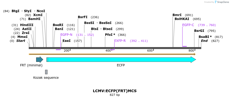 38536_map