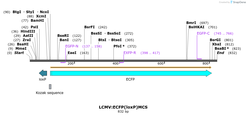 38537_map