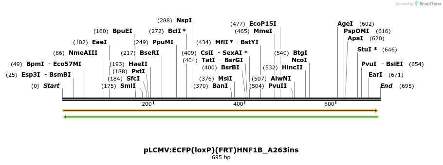 38539_map