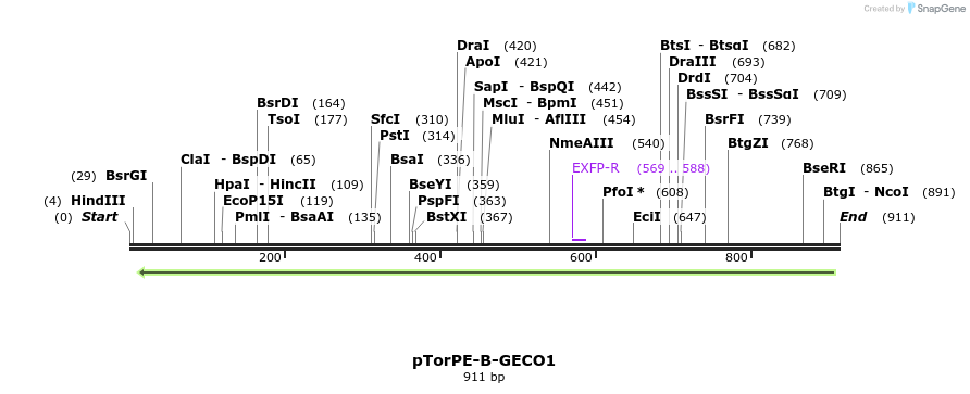 38542_map