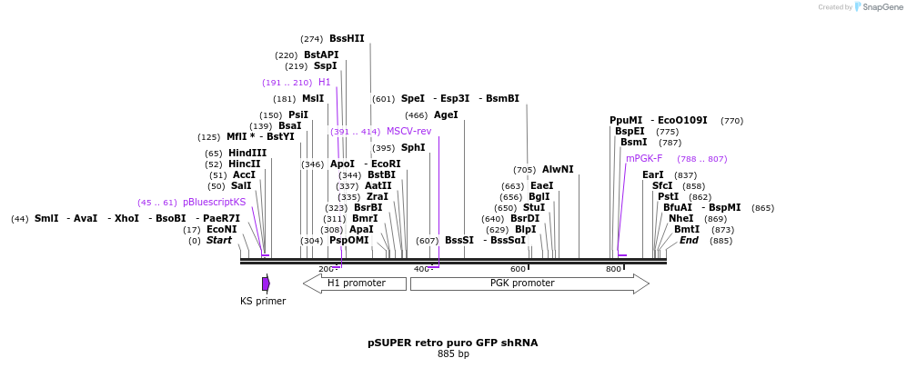 38550_map