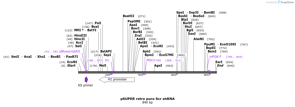 38552_map
