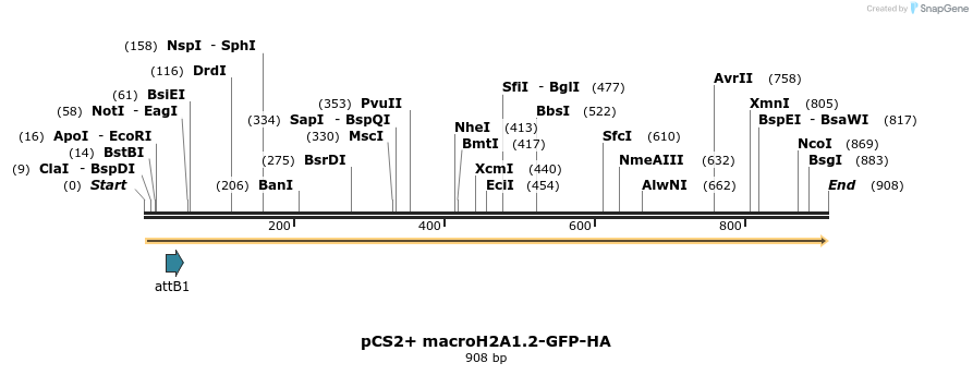 38553_map