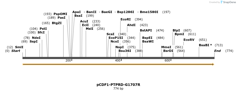 38555_map