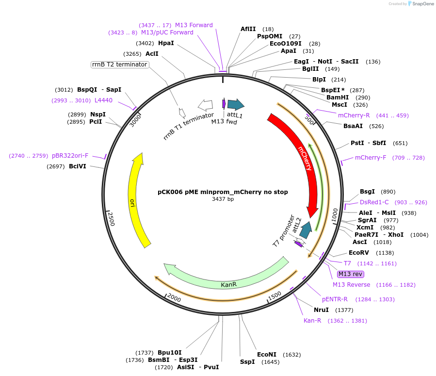 385555_map