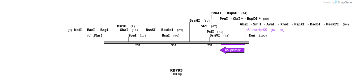385604_map
