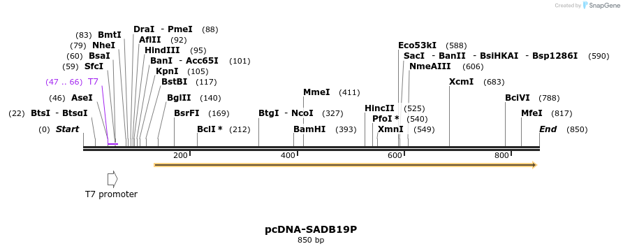 38561_map
