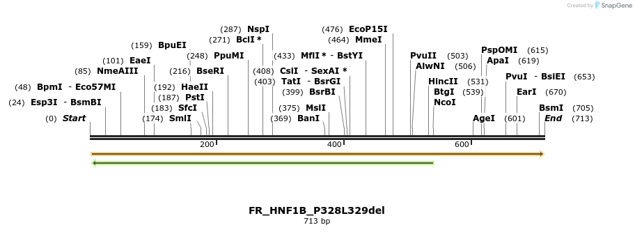 38562_map