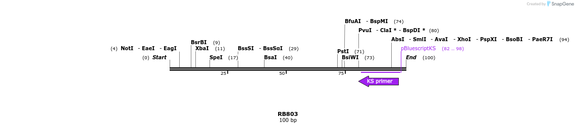 385624_map