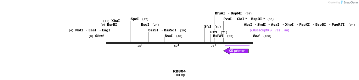 385626_map