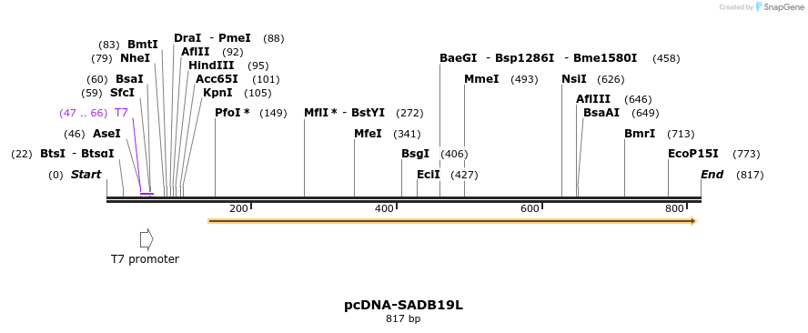 38564_map