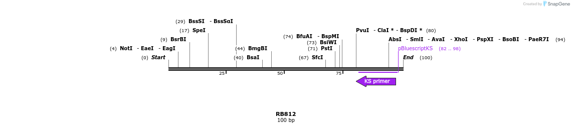 385642_map
