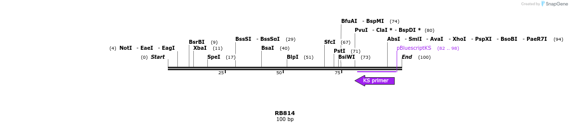 385646_map