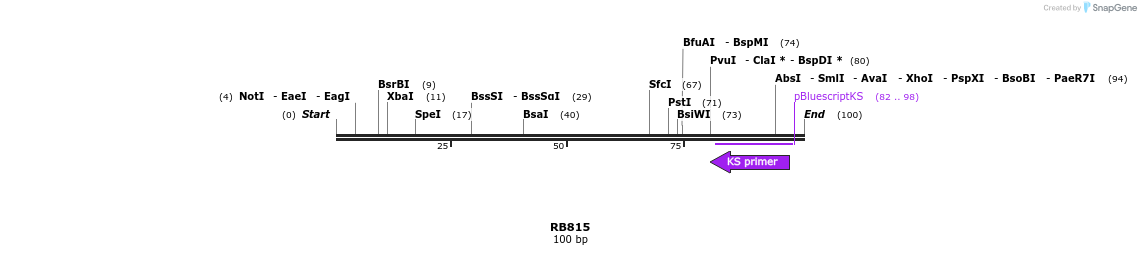 385648_map