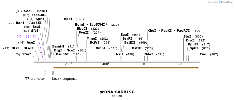 38565_map