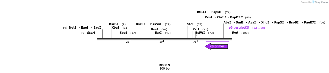 385656_map