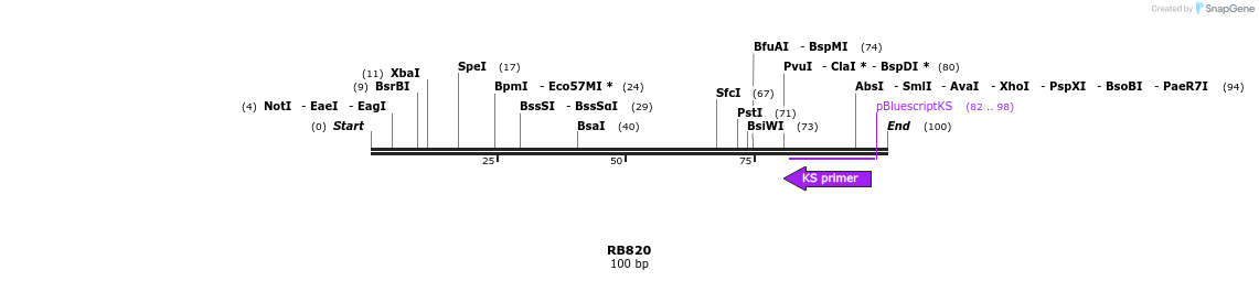 385658_map