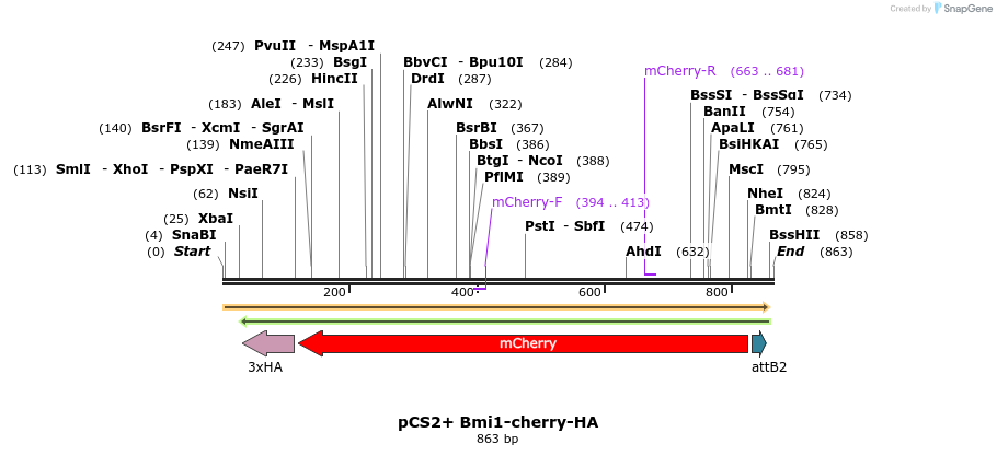 38570_map