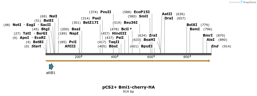 38572_map