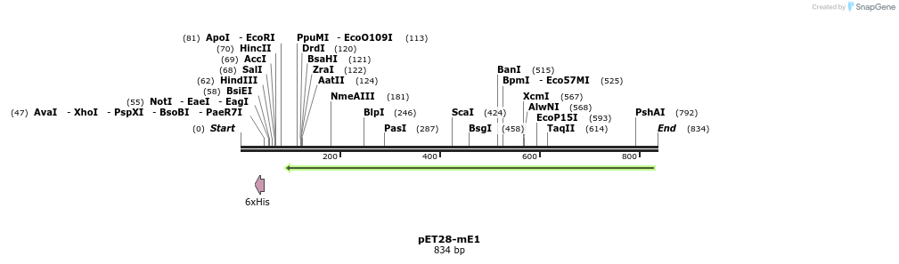 38576_map