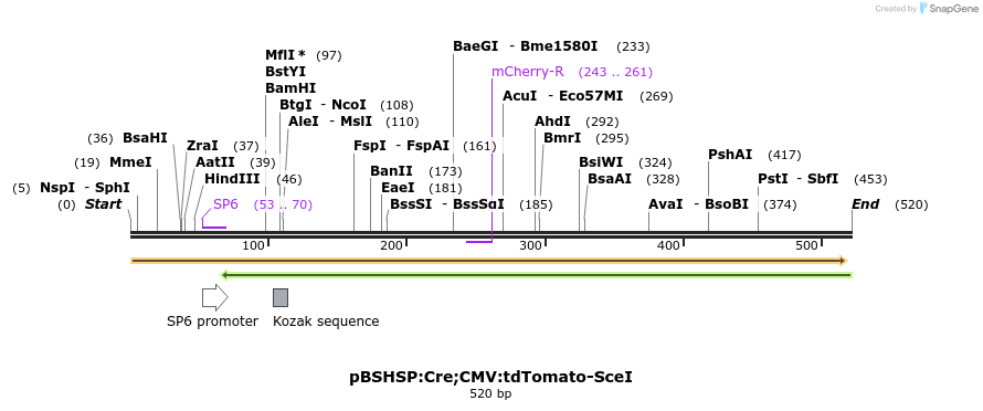 38581_map