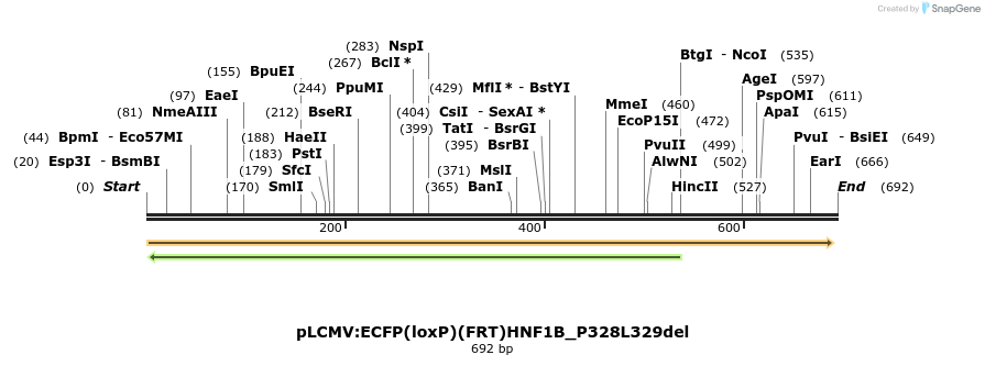 38583_map