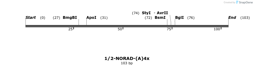 385905_map